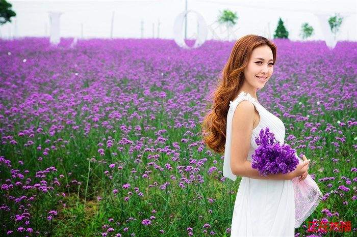 金瓶海之婬乱天在线观看