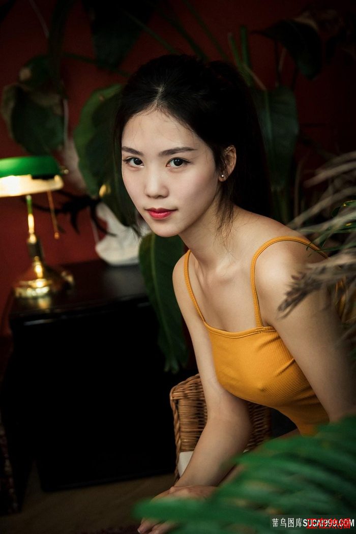金瓶海之婬乱天在线观看